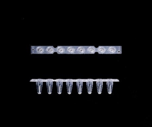 0.2ml八聯(lián)排PCR管，光學平蓋，透明，科進/KIRGEN