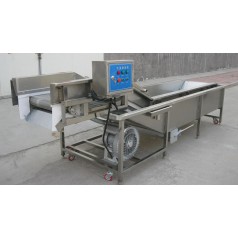 油菜氣泡清洗機，小白菜氣泡清洗機