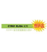CYR61 是診斷 / 判斷乳腺癌惡化的腫瘤標志物。